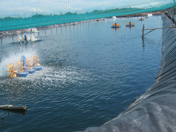 哪些優(yōu)勢是促進(jìn)水產(chǎn)養(yǎng)殖膜使用的關(guān)鍵點(diǎn)？