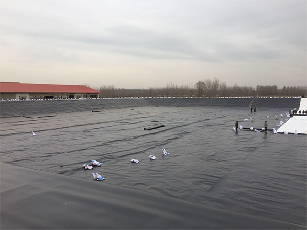 養(yǎng)殖業(yè)朋友注意了：如何延長防滲土工膜使用壽命？