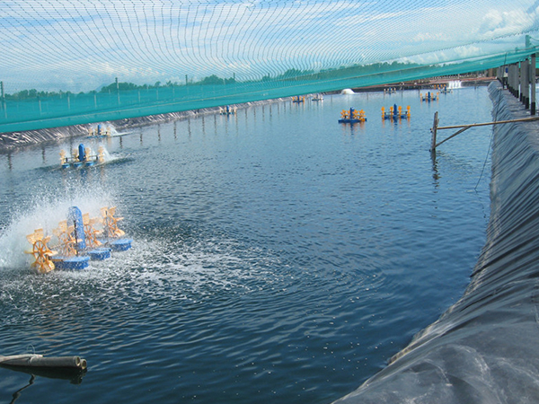 水產(chǎn)防滲膜鋪設(shè)現(xiàn)場(chǎng)有哪些細(xì)節(jié)須關(guān)注？