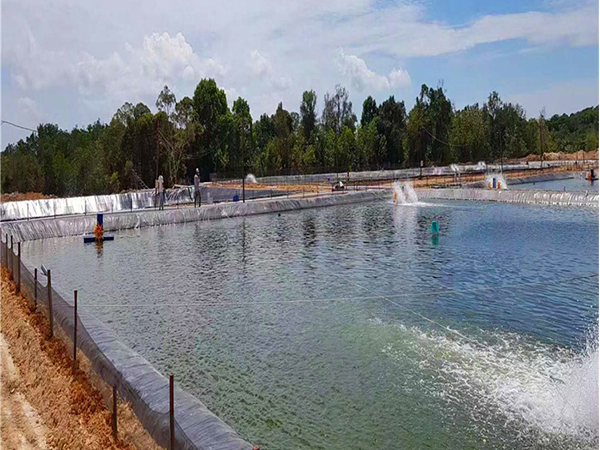 魚塘建設使用防滲土工膜益處多多