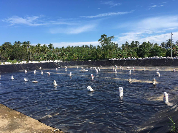 確保防滲膜的化學(xué)性質(zhì)穩(wěn)定性至關(guān)重要。
