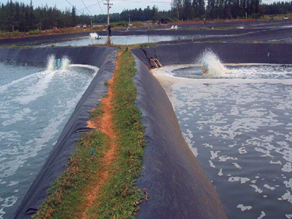 蓄水池鋪設(shè)防滲土工膜需要考慮哪些設(shè)計(jì)要點(diǎn)？
