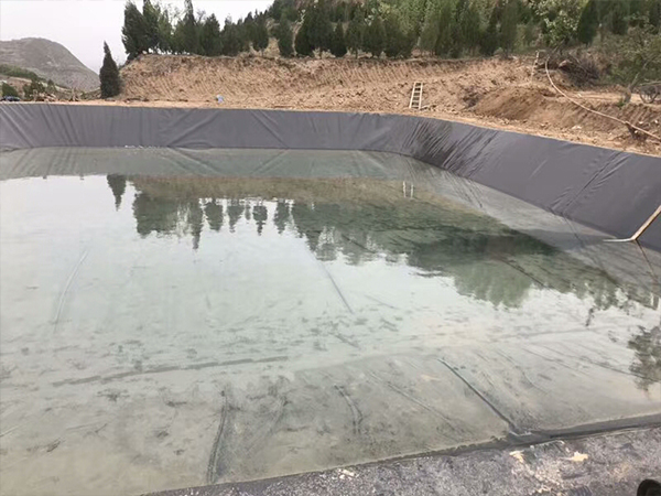 水產(chǎn)土工膜在藕池建設中充當怎樣的角色？