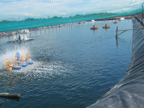 水產(chǎn)土工膜施工過程中該如何進(jìn)行基面清潔？