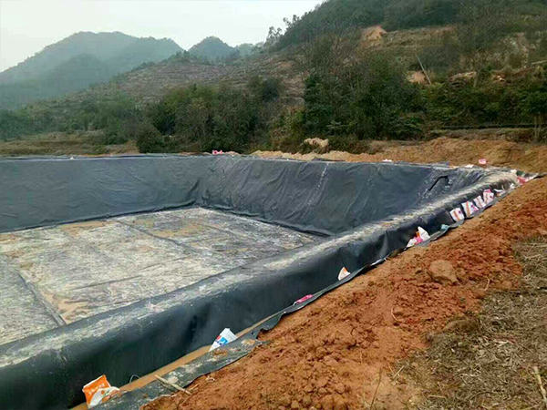  防滲膜廠家教您如何選購防滲膜？