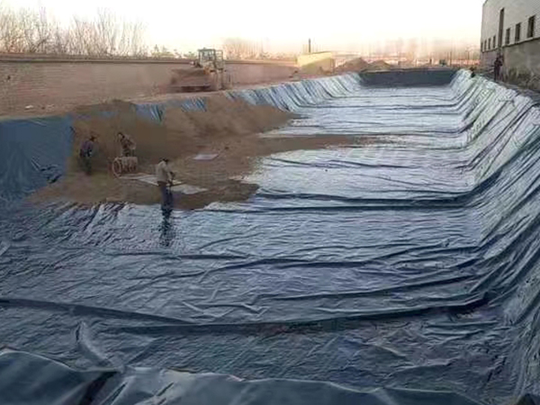 養(yǎng)殖防滲膜為何被廣泛應(yīng)用于魚塘建設(shè)？