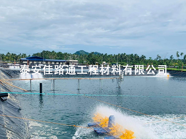 水產(chǎn)養(yǎng)殖行業(yè)中魚(yú)塘建設(shè)須養(yǎng)殖防滲膜的加持