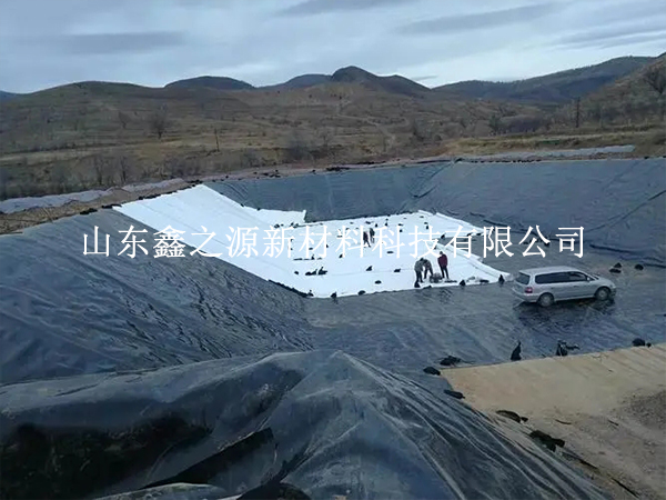 養(yǎng)殖防滲膜可提升魚蝦養(yǎng)殖質(zhì)量廣受關(guān)注