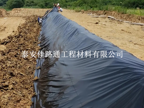 防滲土工膜廠家立足市場的創(chuàng)新策略與未來展望