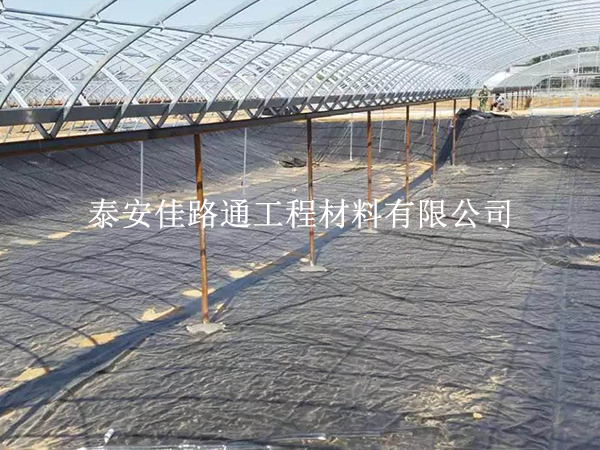 為什么說魚蝦養(yǎng)殖防滲膜可有效保護魚兒生長？