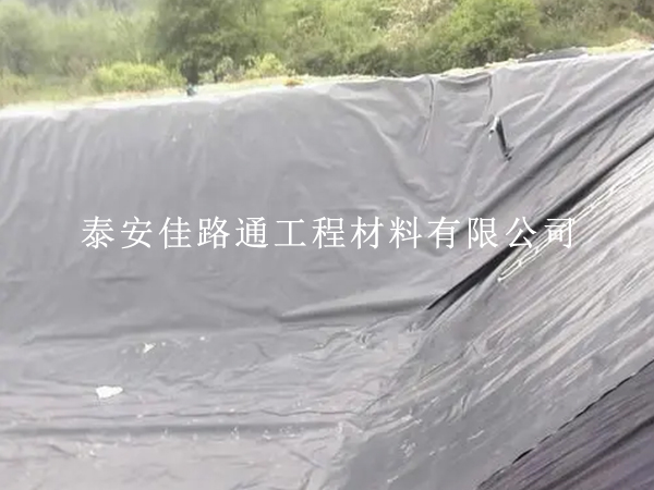 防滲復(fù)合土工膜抗生物侵蝕能力：一種創(chuàng)新視角