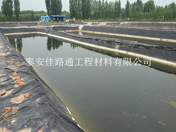 養(yǎng)殖防滲膜：魚蝦養(yǎng)殖的綠色守護(hù)者，創(chuàng)新助力水產(chǎn)繁榮