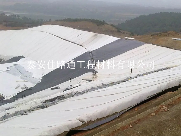 垃圾填埋場(chǎng)防滲膜選擇技巧：綠色守護(hù)，從“膜”力開(kāi)始