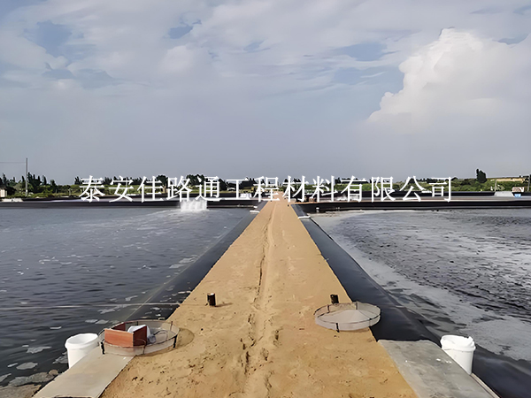 水產(chǎn)養(yǎng)殖防滲膜錨固施工方法:簡單新穎的實踐指南 水產(chǎn)養(yǎng)殖防滲膜錨固施工方法:簡單新穎的實踐指南