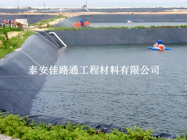 魚塘防滲膜：對(duì)魚兒生長(zhǎng)的微妙影響