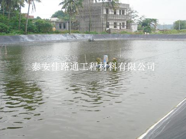 防滲土工膜:氧化塘施工建設(shè)的綠色守護(hù)者 防滲土工膜:氧化塘施工建設(shè)的綠色守護(hù)者